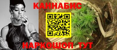 индика Жуковский